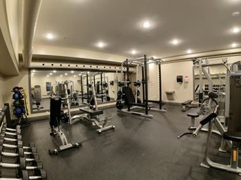 a gym with weights and cardio equipment